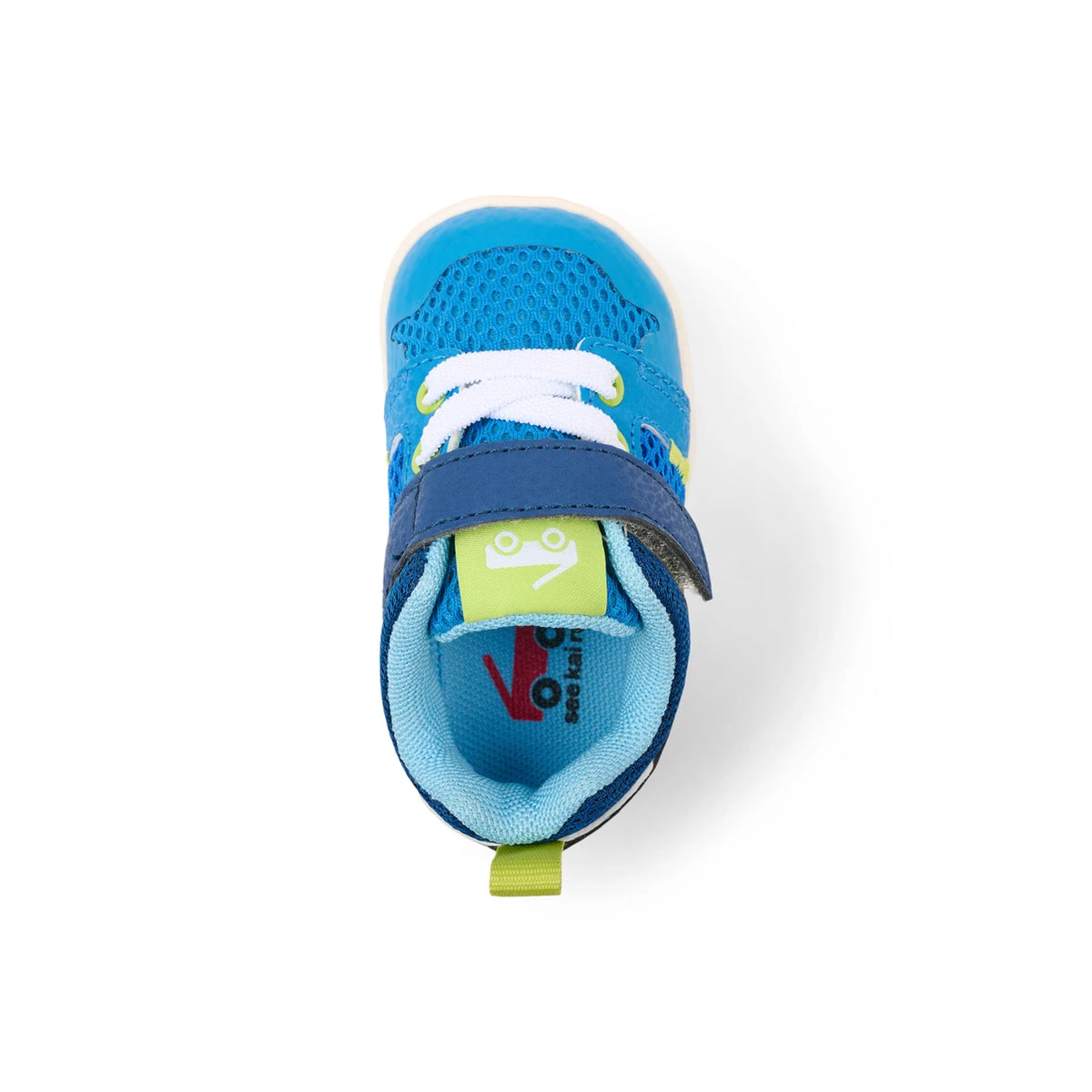 See Kai Run Best Price | Viento Mini Bold Blue